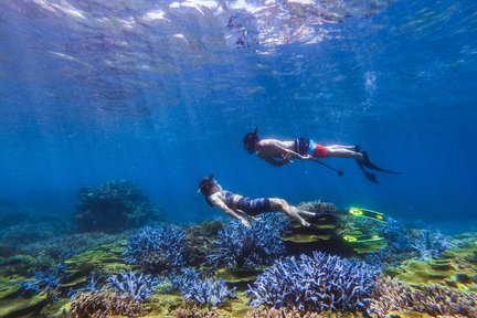 Jinguazi Island Snorkeling Day Tour in Penghu