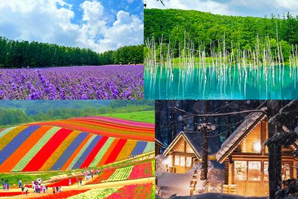 [Check-in Selebriti Internet Musim Panas Hokkaido] Patchwork Road Seven Star Trees & Four Seasons Color Hill & Blue Pond & Shirahige Falls & Farm Tomita & Fairy Terrace Day Tour