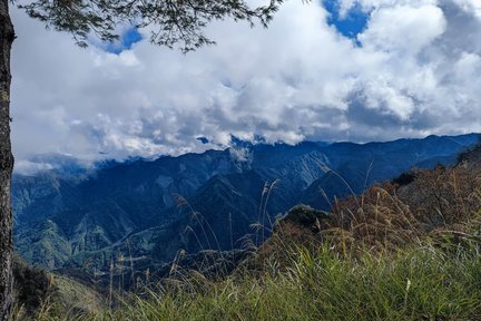 Alishan Sun Moon Lake Three-Day Tour Departing from Taipei