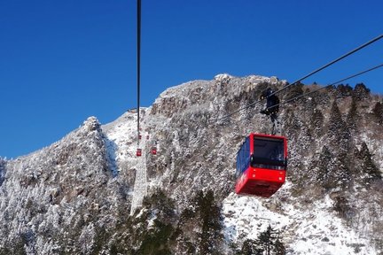 銀白雪景「御在所纜車」＆燈光照明「名花之里」一日遊（大阪出發）