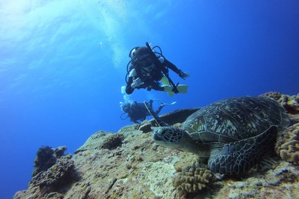 [Certificación de buceo] Blue Safari 4D3N PADI Open Water Diver Course en Green Island