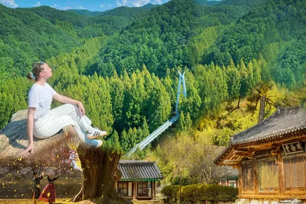 全州韩屋村＆季节性热门景点一日游