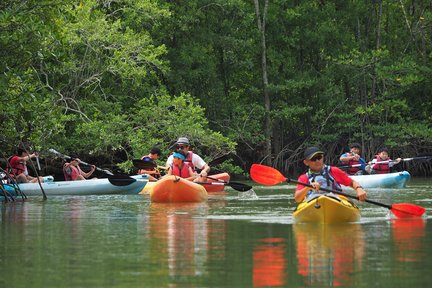 Trải Nghiệm Chèo Thuyền Kayak Giữa Thiên Nhiên