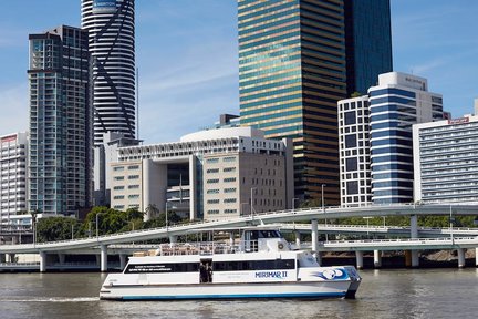 Brisbane River Cruise with Lone Pine Koala Sanctuary Admission