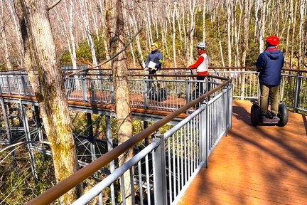 Sapporo Takino Suzuran Segway Tour