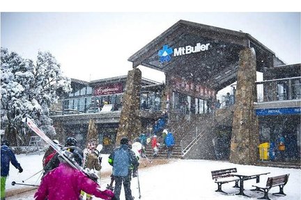 Excursion d'une journée au mont Buller Snow