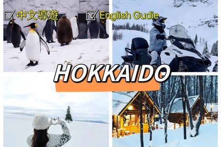 Hokkaido Classic Day Tour｜Asahikawa Zoo & Shikicai Hill & Internet Celebrity Tree (Depart from Sapporo)