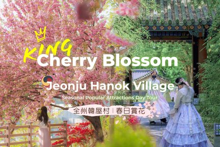 Jeonju Hanok Village & Seasonal Popular Attractions Day Tour