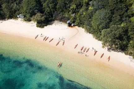 Tour guiado en kayak desde Manly Beach