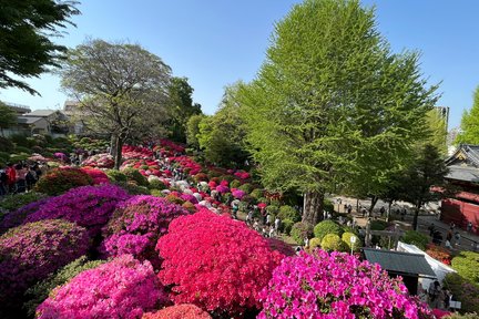 Visite à pied de Tokyo Yanaka