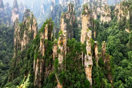 Zhangjiajie National Forest Park Avatar Hanging Mountain Private Day Tour