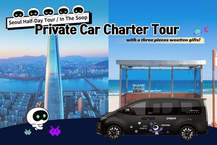 Private car charter tour with wootteo (by BTS "JIN")