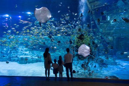 Tiket Lotte World Aquarium Hanoi