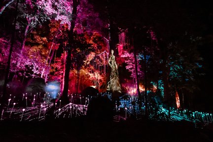 Vé Khu Rừng Mơ Dream Forest Langkawi 