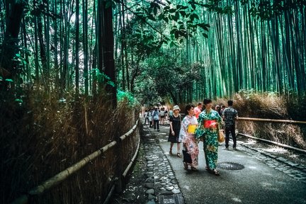 Arashiyama Bamboo Forest Half Day Tour