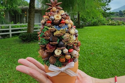 Hualien: Gancheng Town B&B - Pinecone Immortal Seed Tree DIY