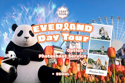 Everland Day Tour with Early/Late Return from Seoul