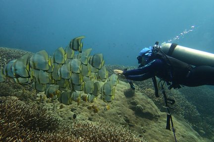 툴람벤/빠당바이/누사페니다 스노클링 체험 by  Bali Aqua Dive Center