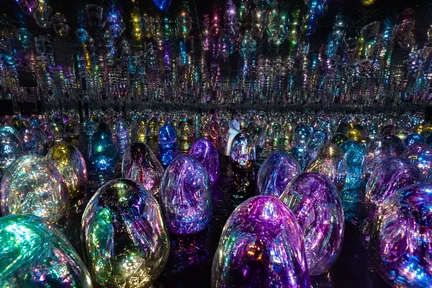 팀랩 페노메나 아부다비 입장권