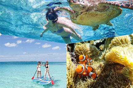 SUP & Sea Turtle Snorkeling (Miyakojima)