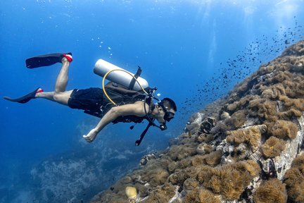 คอร์สดำน้ำหลักสูตร Open Water ที่เกาะเต่า