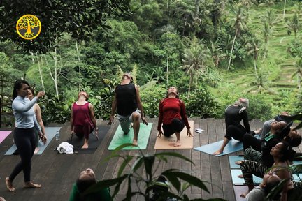 Yoga y meditación al amanecer en la jungla de Ubud