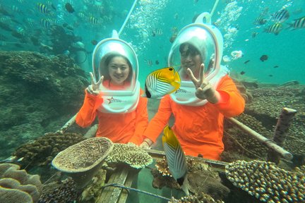 Bali Sea Walking and Water Sports with Optional Sightseeing Tour