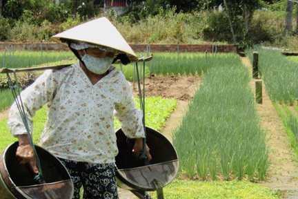 Tra Que Village, Thanh Ha Pottery Village and Cam Kim Village Countryside Tour with Aodai Rider