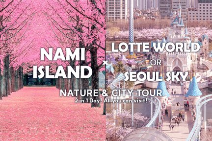 Nami Island & Lotte World(or Seoulsky)Day Tour