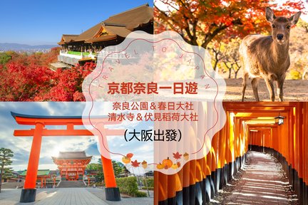 Kyoto and Nara Park One Day Tour from Osaka