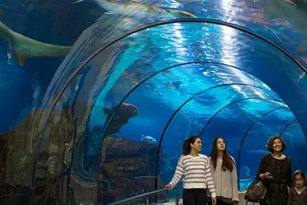巴塞隆纳水族馆门票
