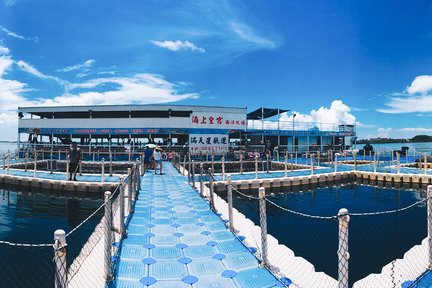 Night Squid Fishing and BBQ Experience in Penghu by Sea Palace