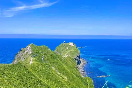 北海道小樽神威岬夏日绝景：神威岬+青之洞窟喂海鸥+小樽运河+白色恋人公园（中英文导游）