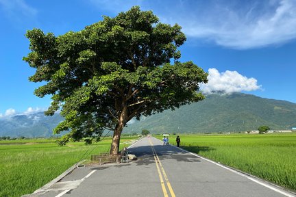 包车游览｜台东纵谷线半・一日游：伯朗大道＆鹿野高台＆利吉恶地