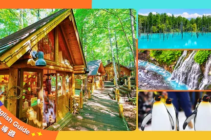 北海道｜旭山动物园·青池·白须瀑布·森林精灵露台一日游｜札幌出发