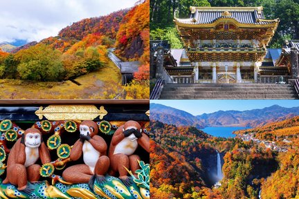 [Dedaunan Musim Gugur Nikko Terbatas] Nikko Fall Leaves Viewing Day Tour dengan Pemandu Wisata Berbahasa Mandarin/Inggris (Berangkat dari Shinjuku)