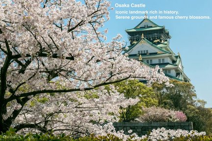 Osaka City Private & Customized Walking Day Tour