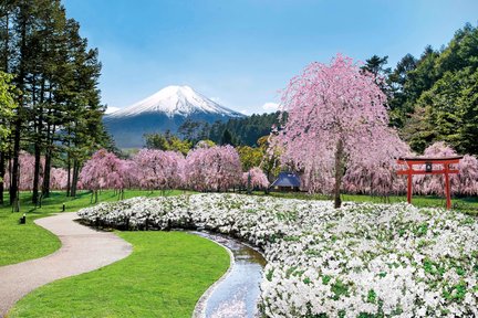 Tagestour zum Berg Fuji, zum Ashi-See und zum Owakudani ab Tokio