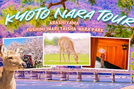 Kyoto Nara Arashiyama Day Tour | Feeding Deer in Nara Park, Fushimi Inari Thousand Torii Gates, Arashiyama Bamboo Forest Trail (Depart from Osaka, Get off in Kyoto or Osaka)