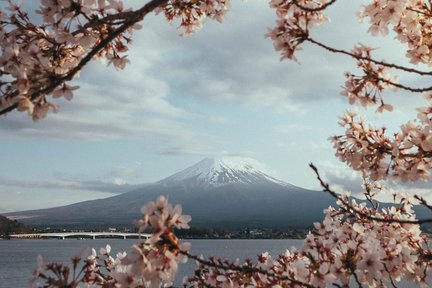 Mt. Fuji Route A: Mt. Fuji Oshino Hakkai Hot Springs Day Trip | Round Trip from Tokyo