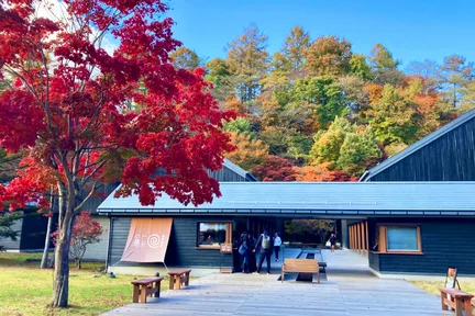 小众度假圣地：轻井泽一日游 ｜轻井泽奥特莱斯或星野度假区之云场池*星野温泉 + 川越小江户+冰川神社 |东京出发