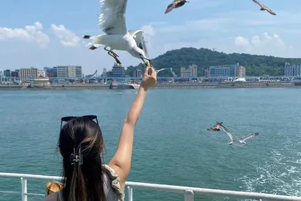 仁川季节性热门景点一日游(首尔出发)