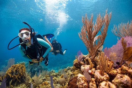 Дайвер PADI Open Water Diver на Пхукете с 5-звездочным дайв-центром PADI