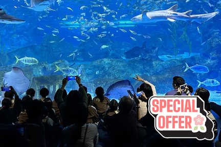 Eintrittskarte für das Coex Aquarium in Seoul