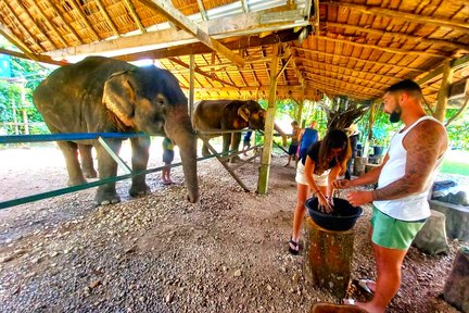 考索大象救援中心（Khao Sok Elephant Rescue Center）一日游（含漂流 & 烹饪体验 & 午餐）