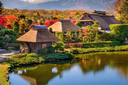 【富士山必遊+人氣打卡景點】賞花購物網紅景點一日遊（韓文&中文導遊  東京站或新宿站出發）