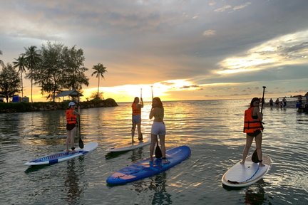 Mangrove Forest SUP (Paddle Board) experience