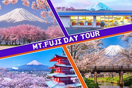 Mount Fuji Magnificent Day Tour dari Tokyo