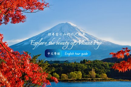 【富士山の人気チェックインスポット】富士山インターネットセレブパーク＆氷川時計店＆ローソンコンビニ＆忍野八海＆大石公園の日帰りツアー（東京駅または新宿駅発）