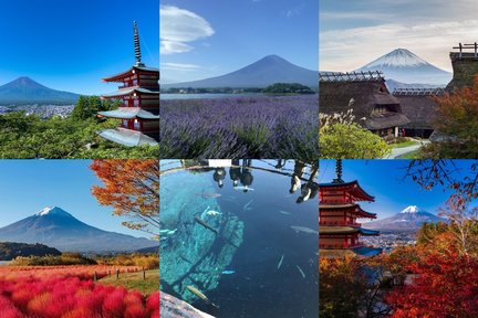 Mount Fuji Arakurayama Park Saiko Iyashi-no-Sato Oishi Park day tour